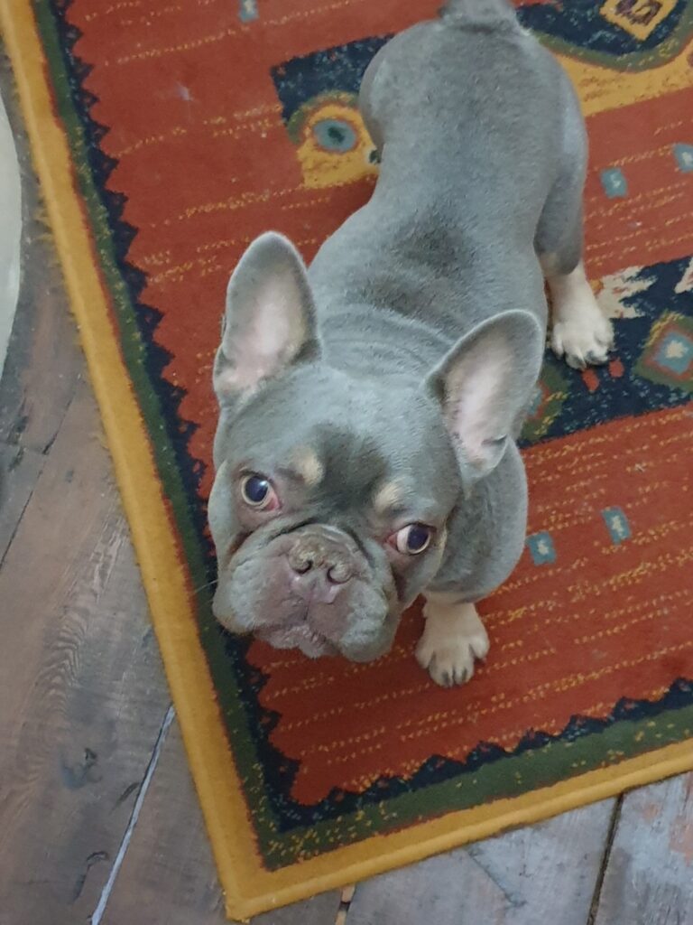 Louis