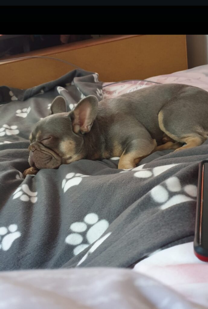 Louis